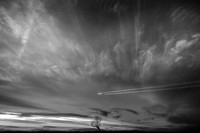 Landscapes