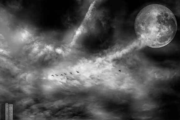 night flight