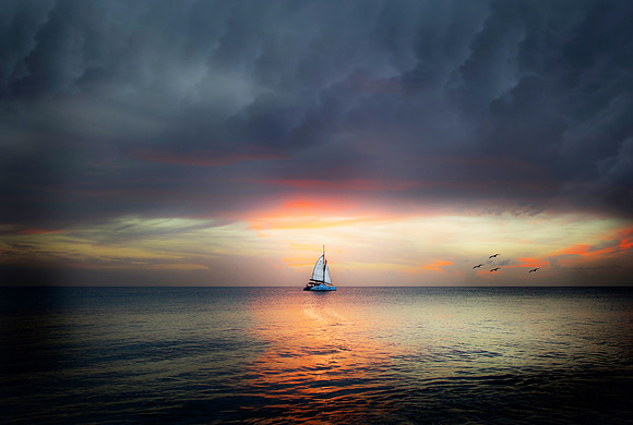 Sailing home