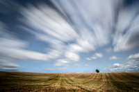 Landscapes