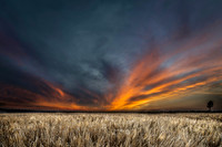 Golden light