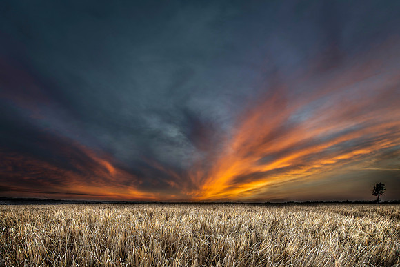 Golden light