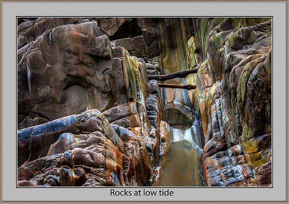 rocks at low tide