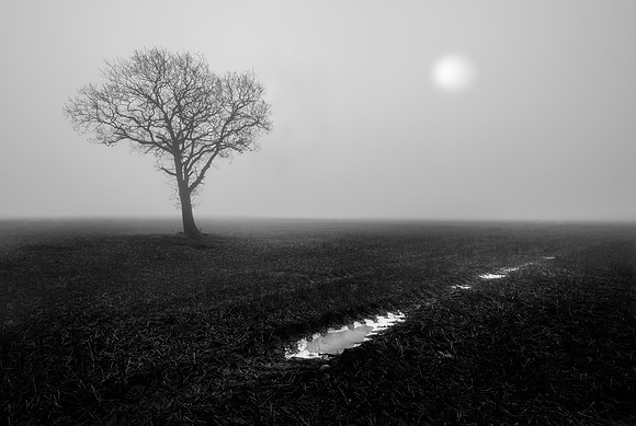 Silent track