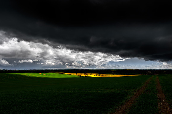 Toward the light