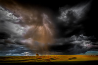 Turbulent storm