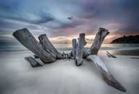 Beach wood