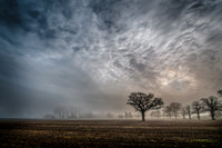 Emerging out of the mist