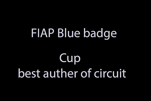 BLUE BADGE