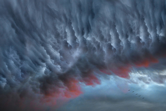 into the storm