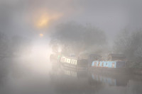 MAL_7610