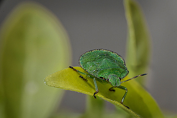 _DSC8150